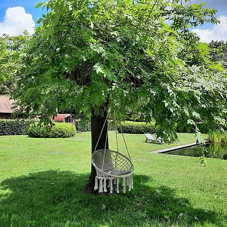 B&B De Levensboom Tessenderlo ภายนอก รูปภาพ