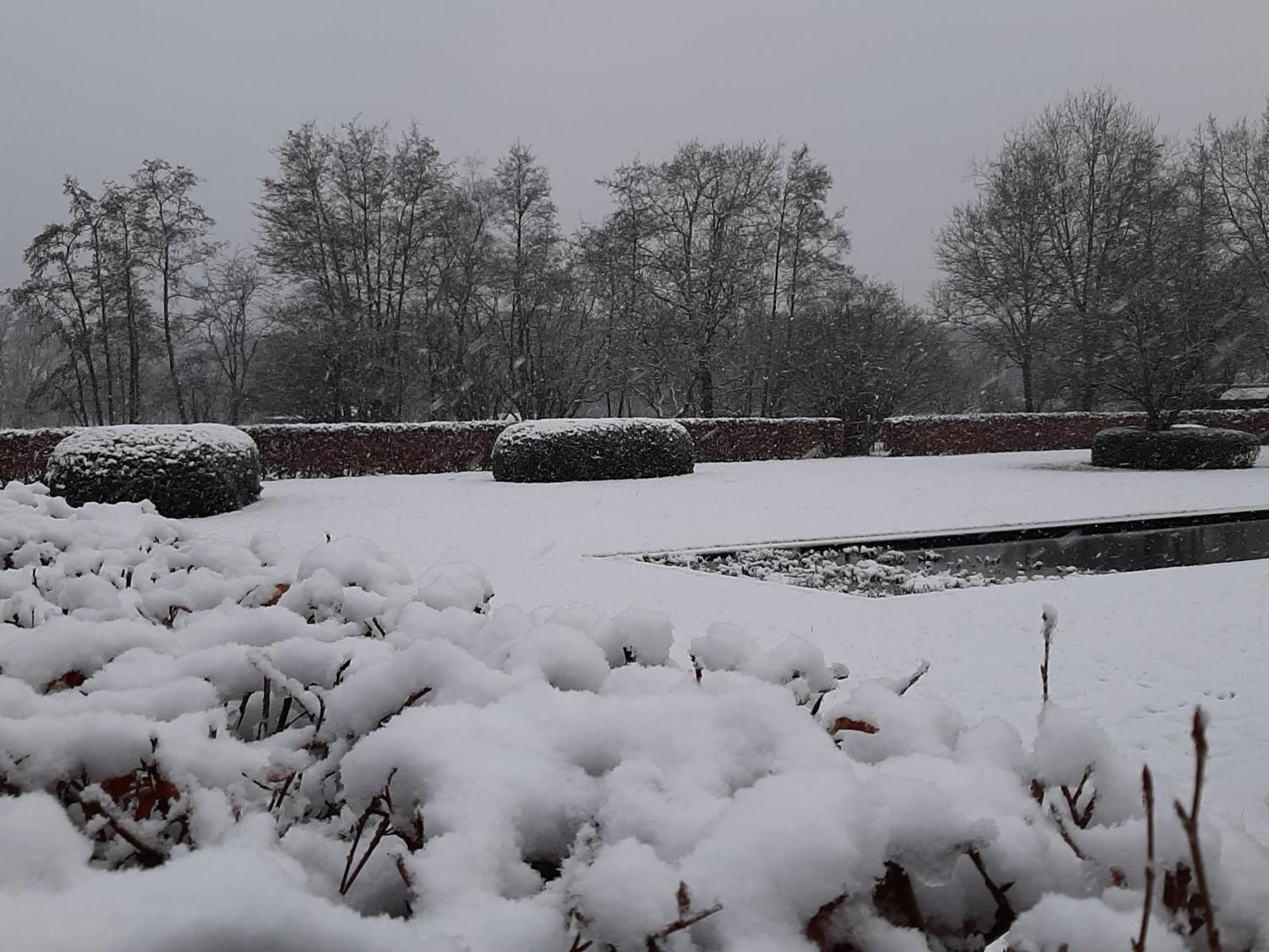 B&B De Levensboom Tessenderlo ภายนอก รูปภาพ