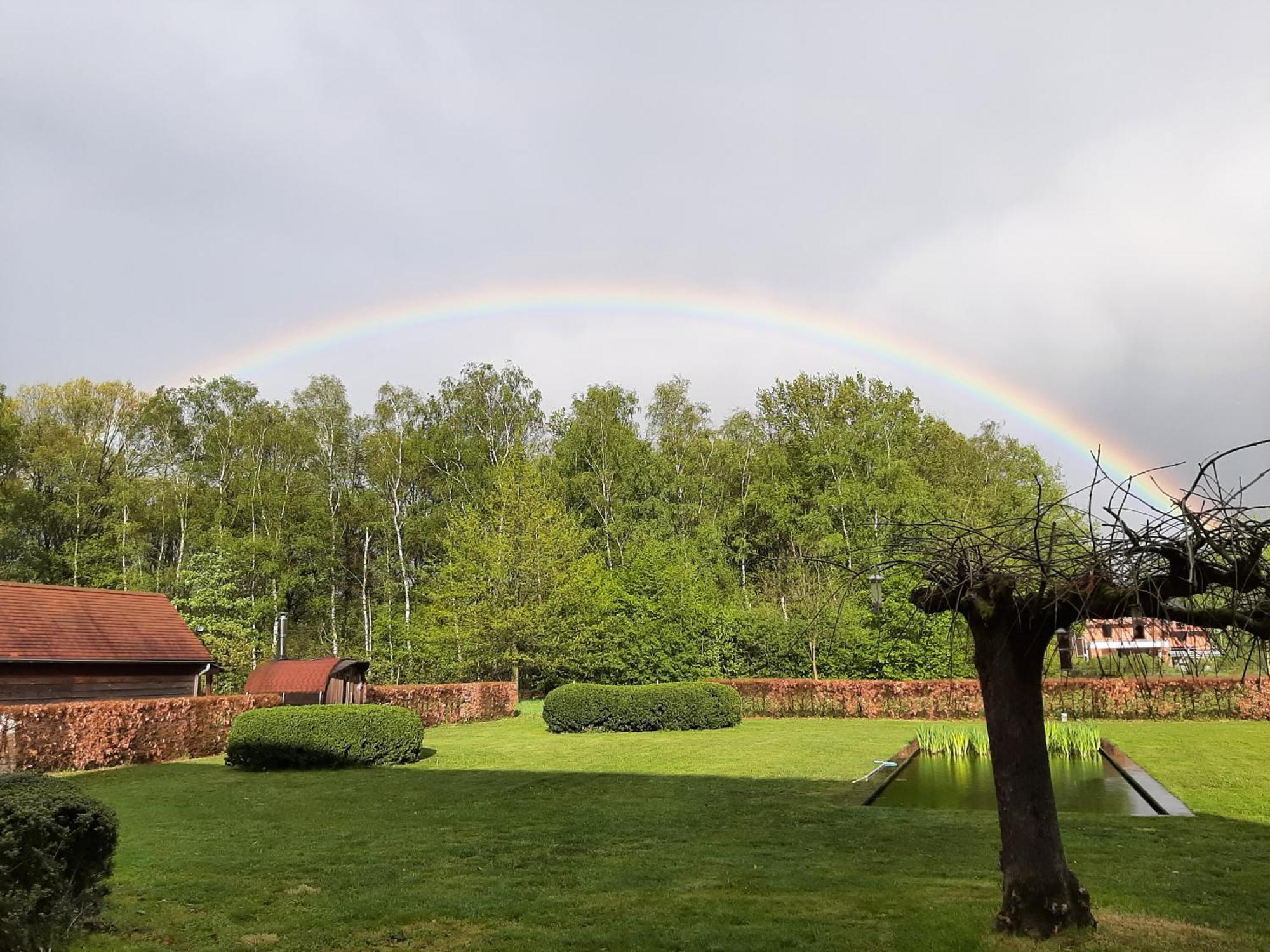 B&B De Levensboom Tessenderlo ภายนอก รูปภาพ