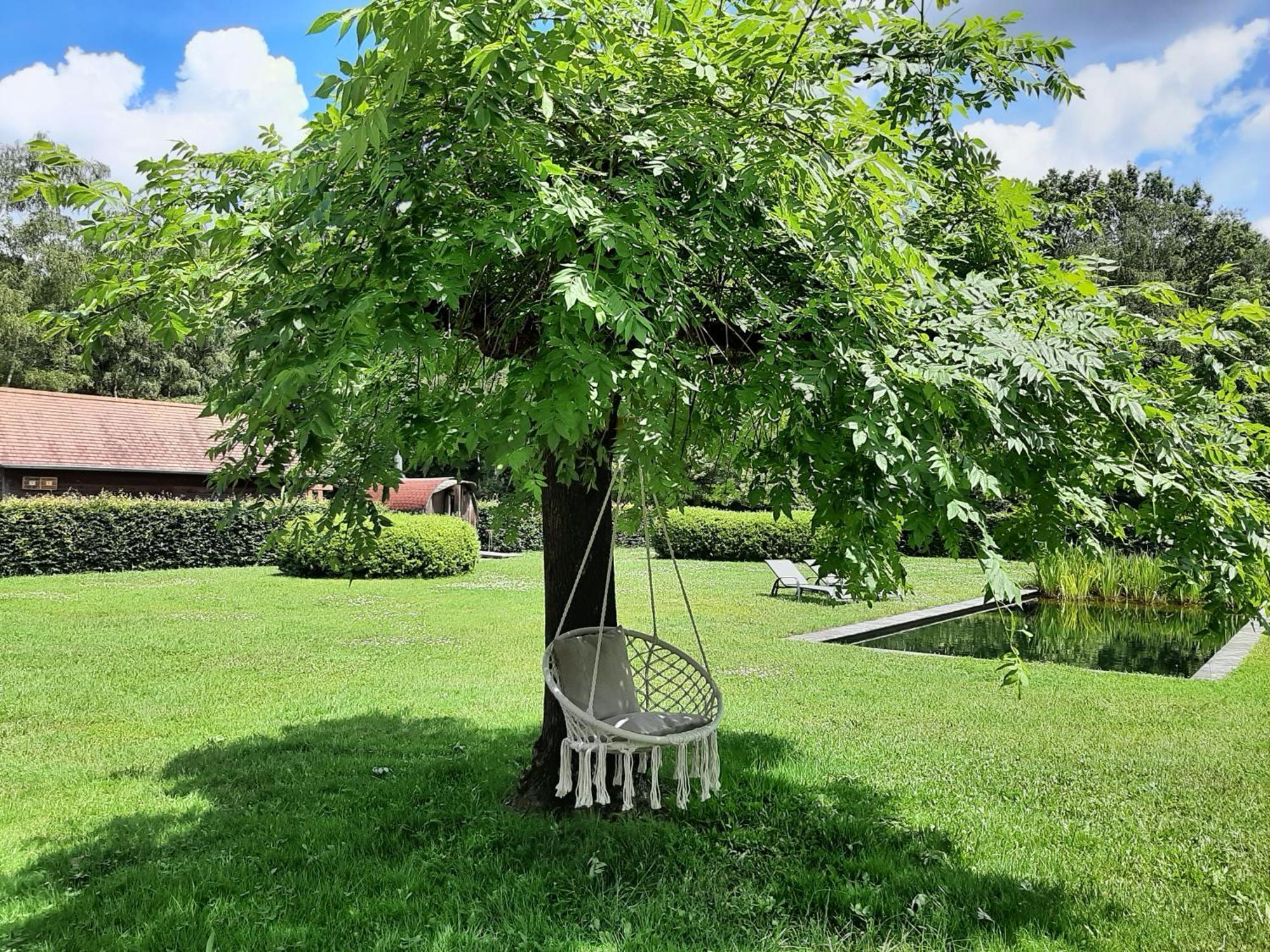 B&B De Levensboom Tessenderlo ภายนอก รูปภาพ