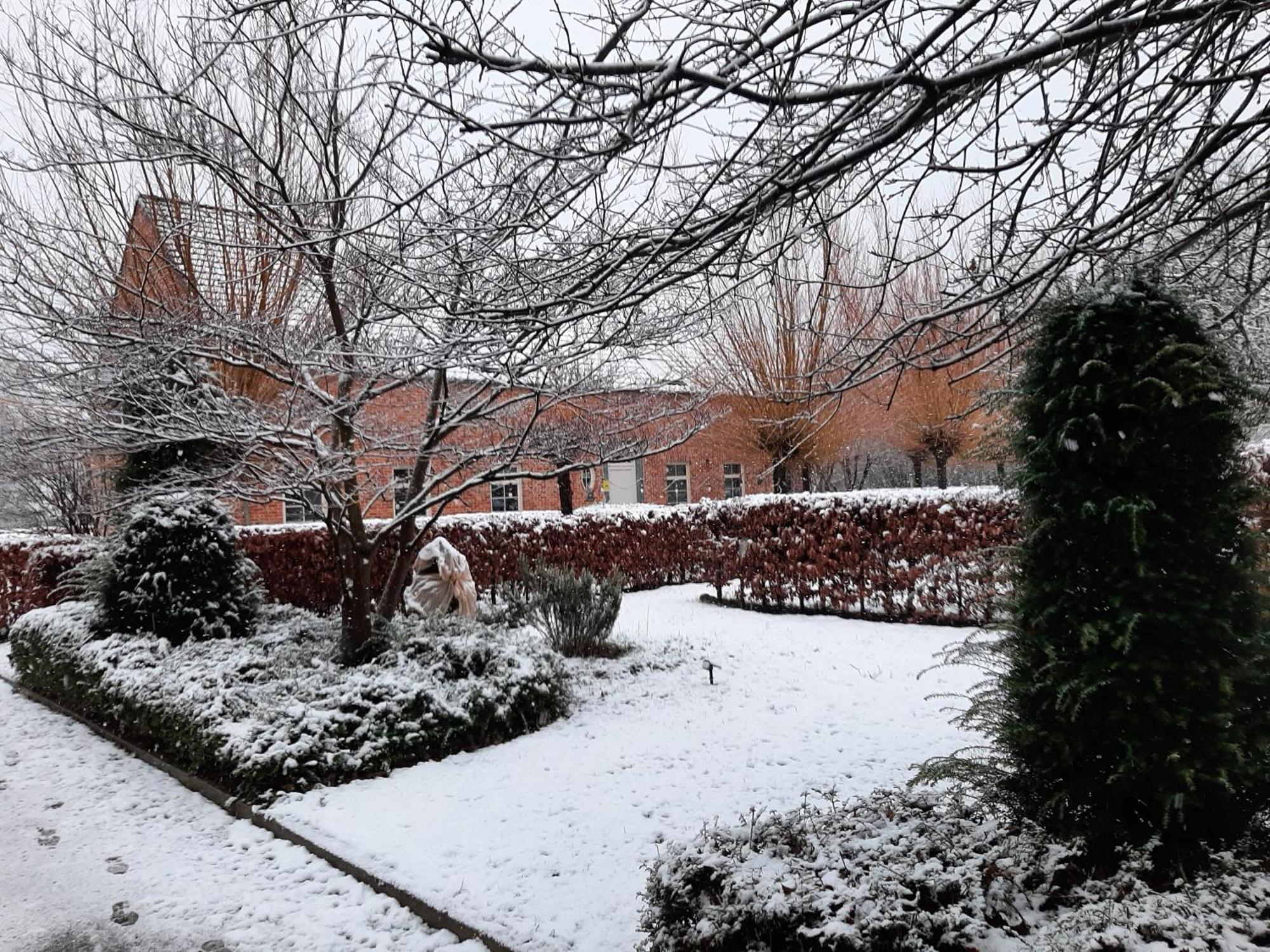 B&B De Levensboom Tessenderlo ภายนอก รูปภาพ